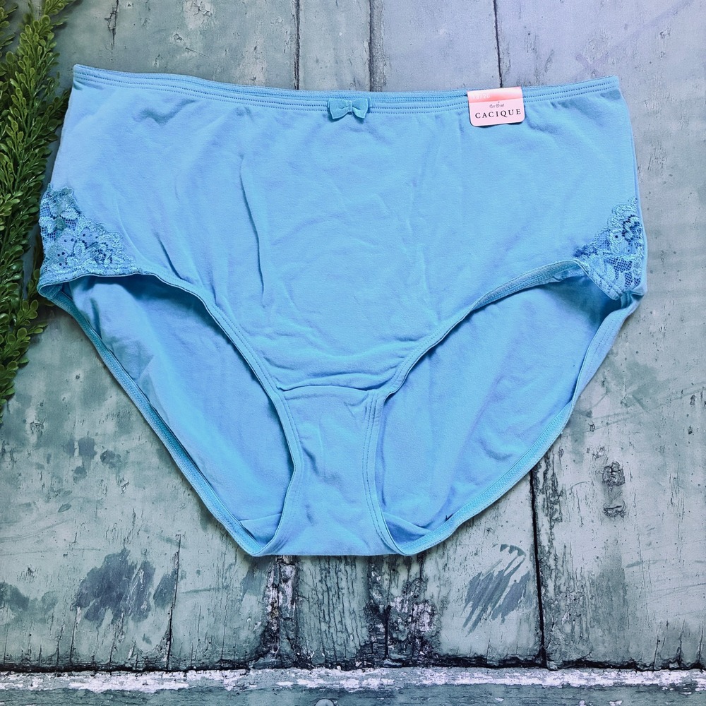 NWT Cacique Cotton Lace Trim Panty Bundle Blue Pink 2 Pack Size 18/20 - Picture 2 of 10